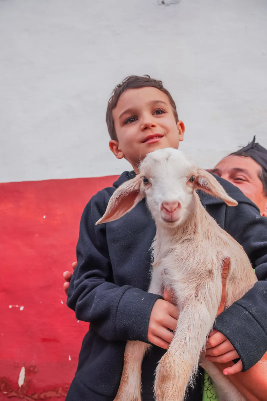 Menino segurando um cabritinho na fazendinha
