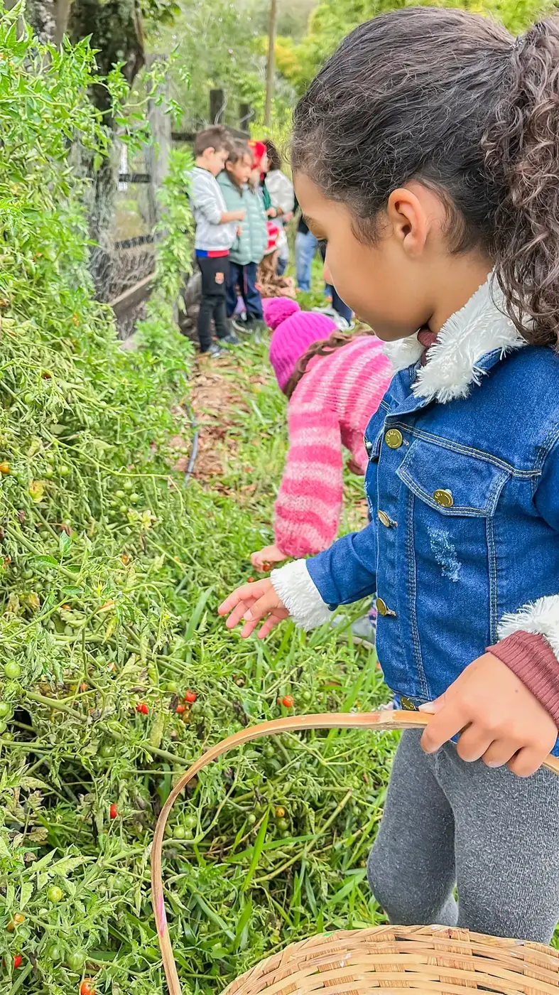 Menina colhendo fruta do pé com um cesto