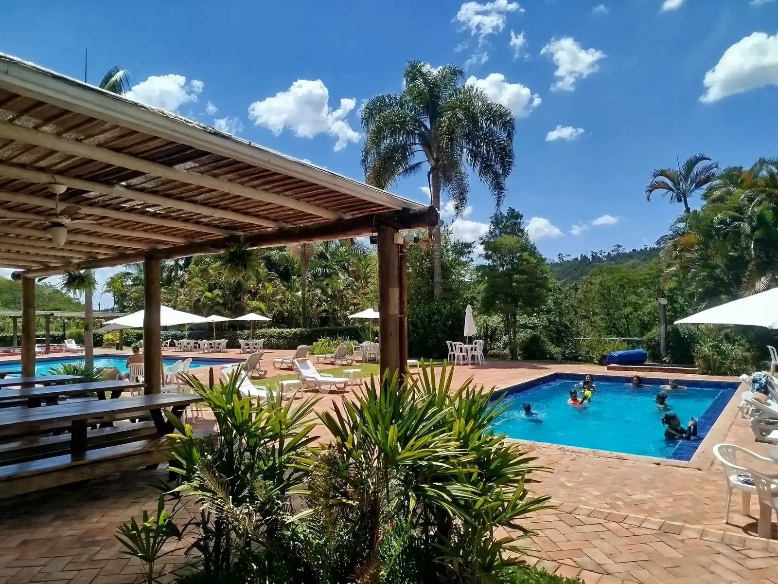 Piscinas entre palmeiras, com o pergolado de madeira e o céu azul da fazenda